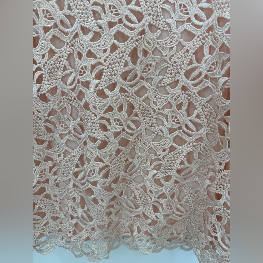 Lauren Ralph Lauren Blush Pink Lace Sheath V-Neck Sleeveless Cocktail Dress SZ 8 - Picture 7 of 15
